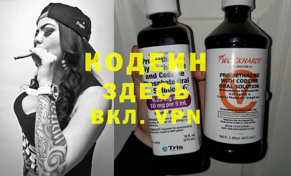 шишки Няндома